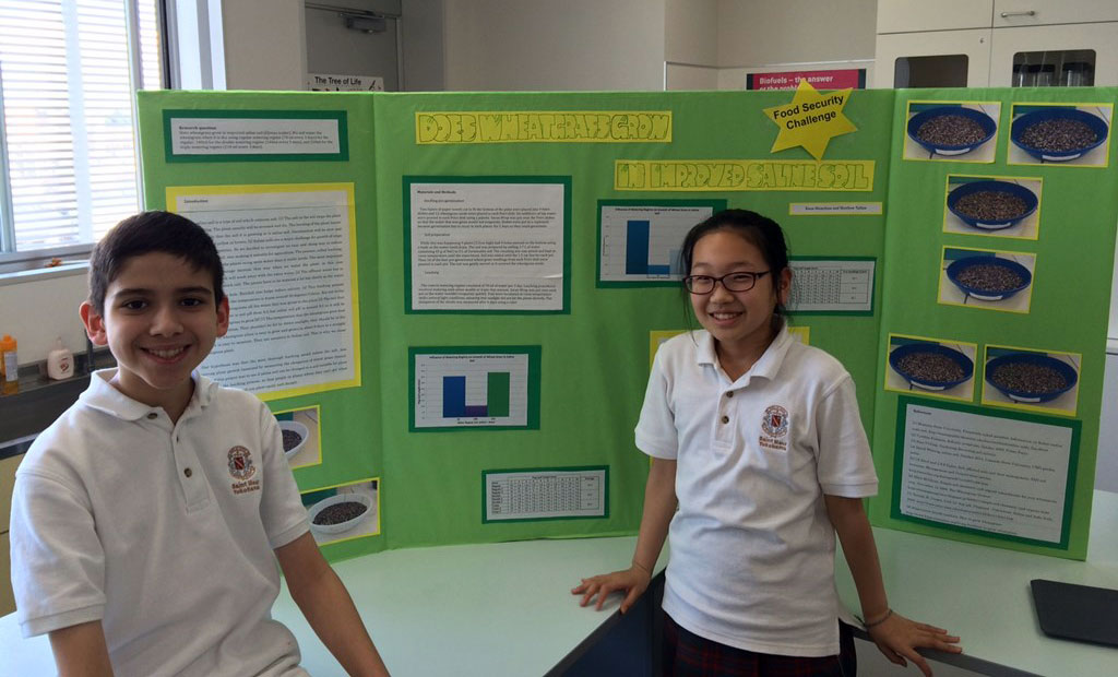 Middle School Science Fair 2015