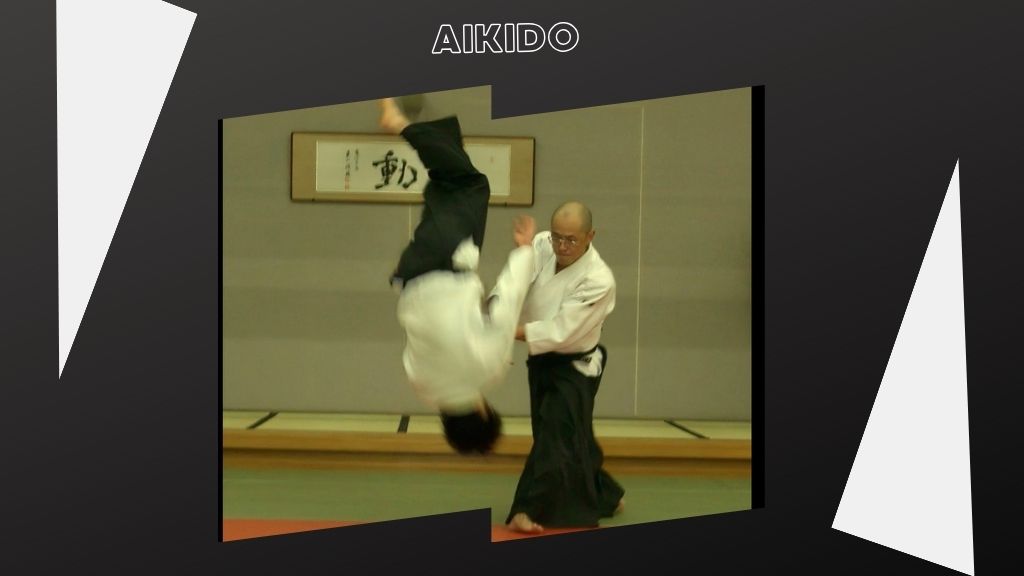 Zen and Aikido for wellness