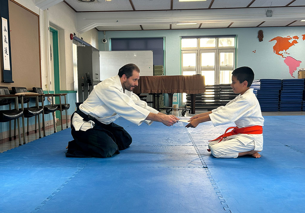 ES aikido grading 02