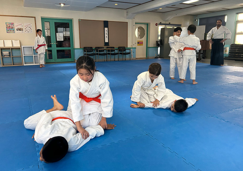 ES aikido grading 03